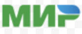 payment system